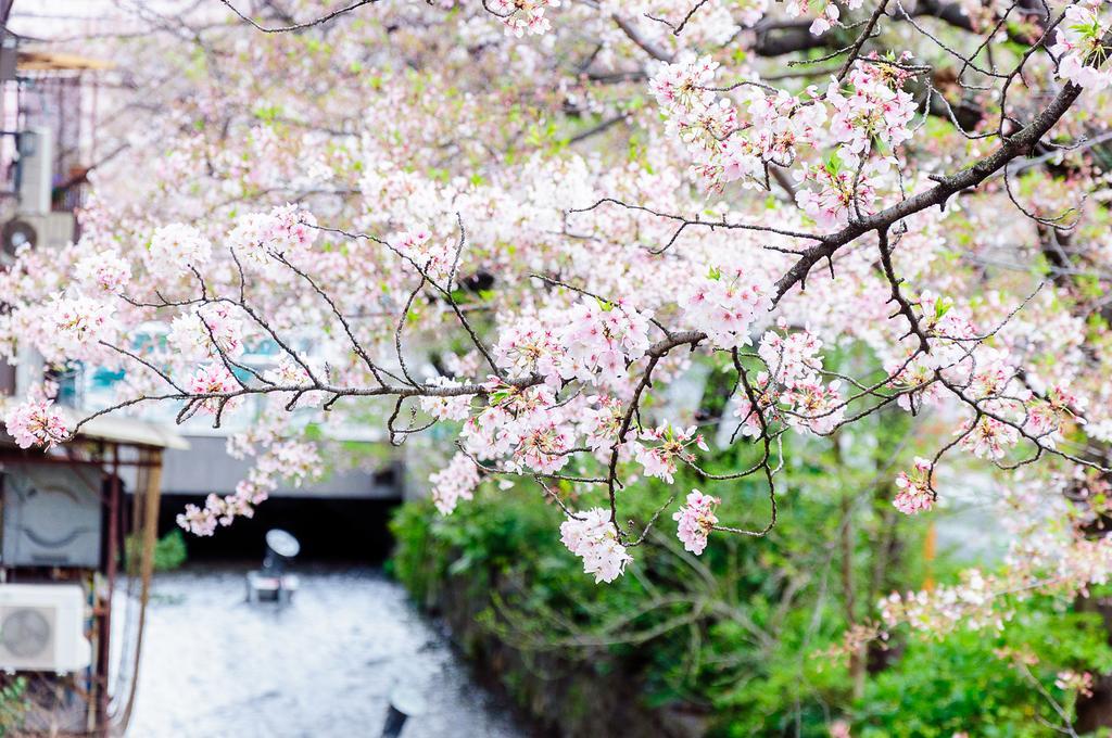 Kumomachiya Takasegawa Villa Kyoto Ngoại thất bức ảnh